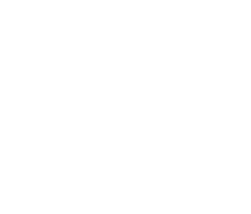 Secure document vault preview